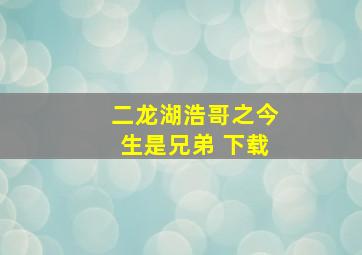 二龙湖浩哥之今生是兄弟 下载